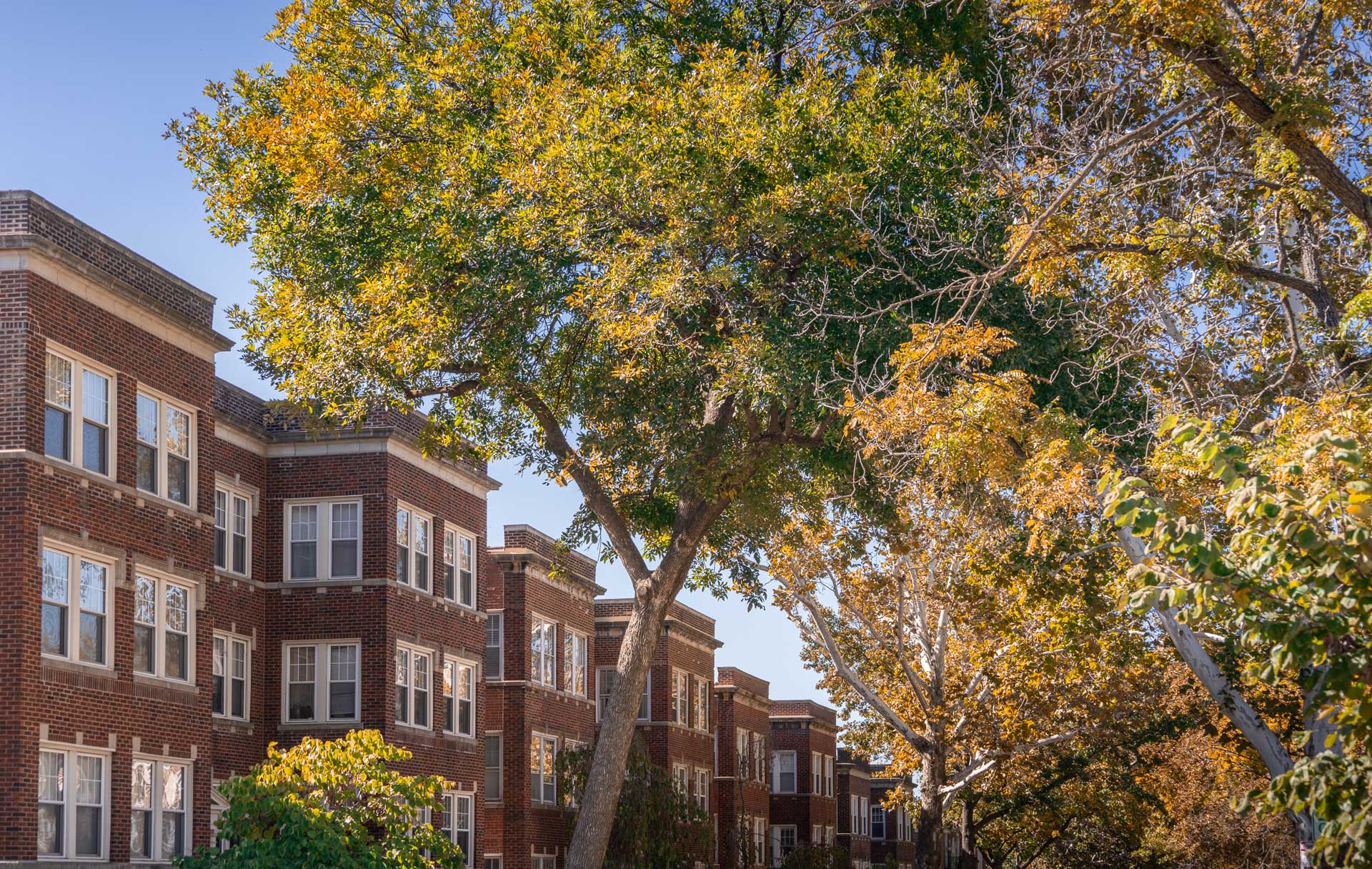Signs You Need a Property Management Company in St. Louis